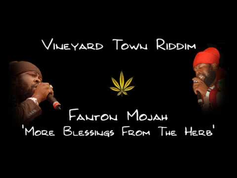 Vineyard Town Riddim 2009 - Fanton Mojah