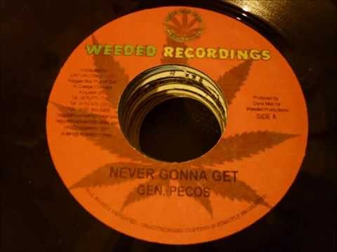 BLACK SURVIVOR RIDDIM - WEEDED RECORDINGS