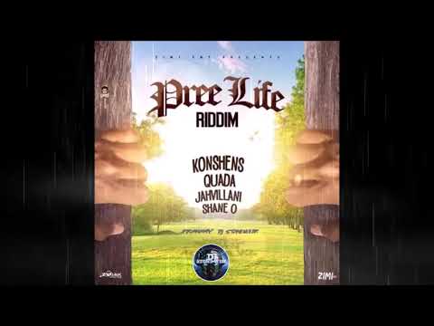 Pree Life Riddim (Mix-Feb 2020) Zimi Ent