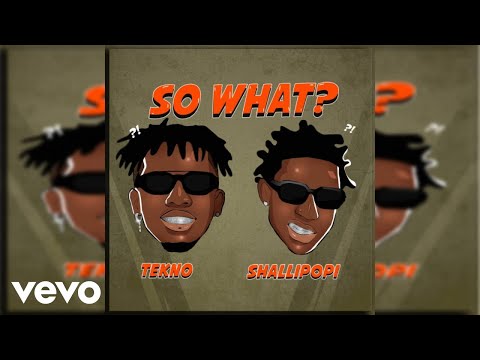 Tekno, Shallipopi - So What? (Official Audio)