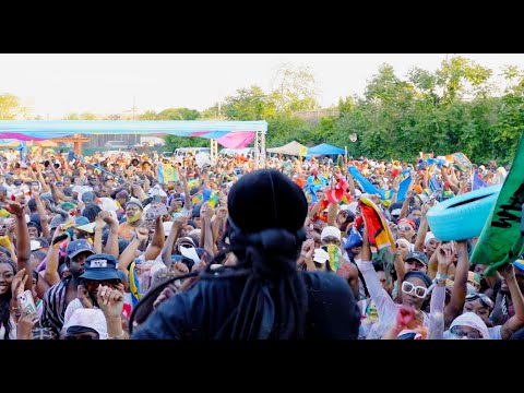 Problem Child -Dunce ( Visualizer ) The Festival of Fire Riddim