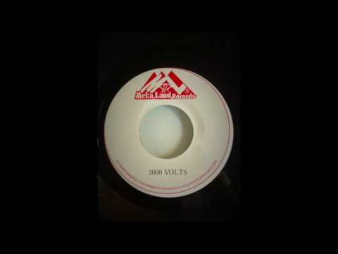 2000 Volts Riddim Mix (Meka Land Records, 1999)