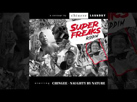 Chingee - Naughty By Nature (Super Freaks Riddim) | Official Audio