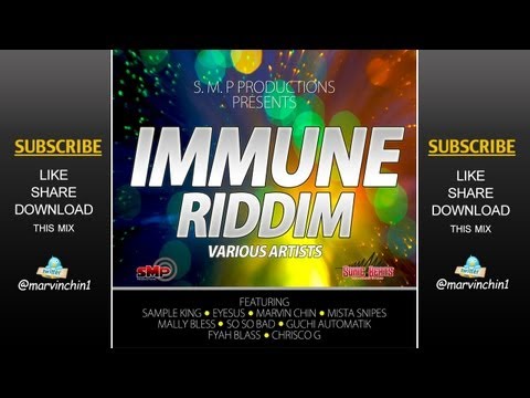 "IMMUNE RIDDIM" SEPTEMBER MIX 2013 {SMP PRODUCTION}