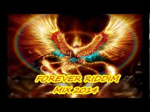 FOREVER RIDDIM MIX ( FEB 2014)