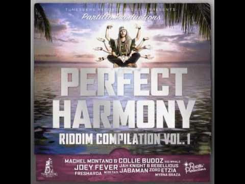 Perfect Harmony riddim medley vol1 - prod by Partillo (february 2011)