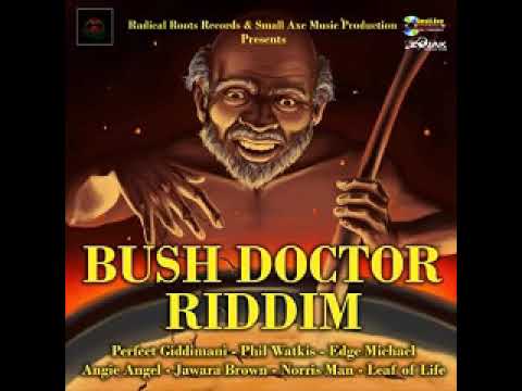 Bush Doctor riddim 2020 Radical Roots records mix selecta Sanjah I