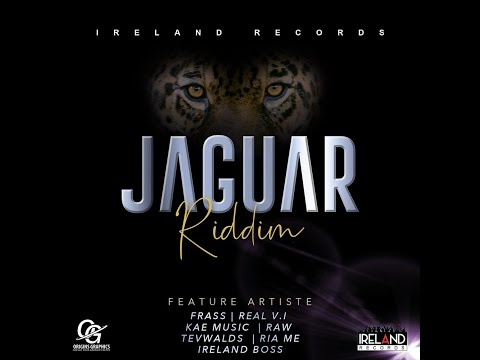 JAGUAR RIDDIM - IRELAND RECORDS - DANCEHALL FULL PROMO - NOV 2020 - {DJRYNHOLD MIX}