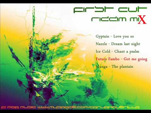 First Cut Riddim Mix November 2011] [Startime Family Production]