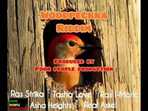 WOODPECKKA RIDDIM VARIOUS ARTIST (Feb 2020)