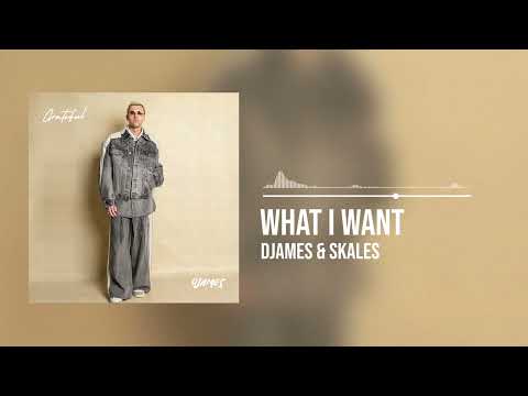 DJames and Skales - What I Want (Official Audio)