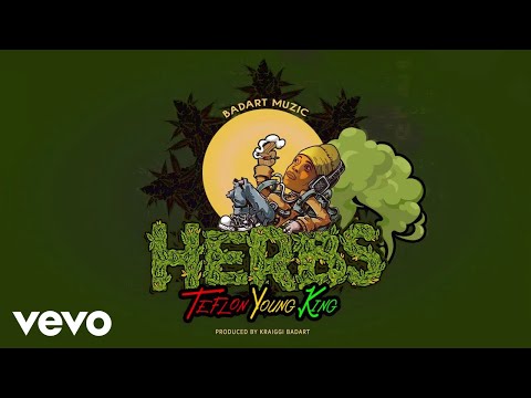 Teflon Young King - HERBS | audio visualizer