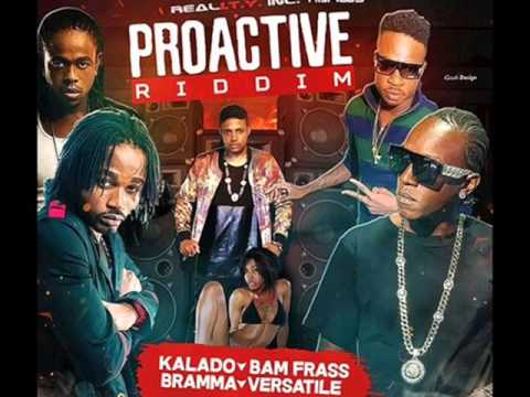 DJ HOTHEAD PROACTIVE RIDDIM MIX FULL PROMO REALITY INC OCOTBER 2015 iREP767