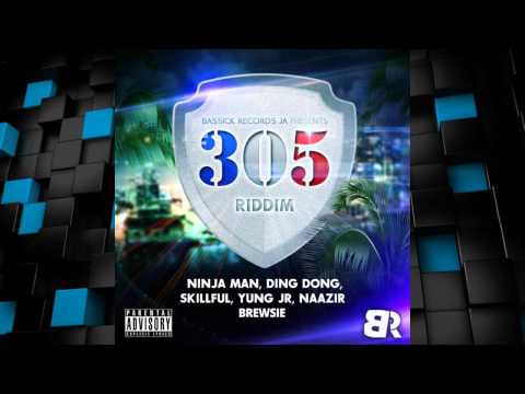 305 Riddim 2015 mix [Bassick Records] (Dj CashMoney)