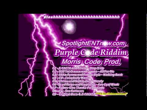 PURPLE CODE RIDDIM MIX{DECEMBER 2011}