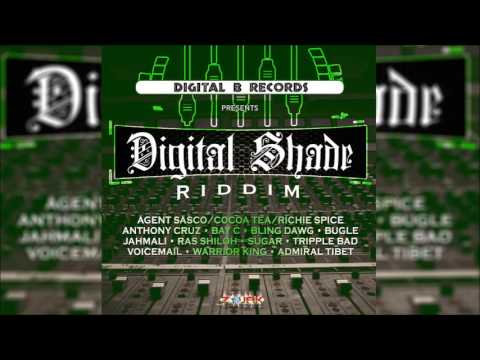Digital Shade Riddim Mix ▶2017 April▶ (Digital B) Mix by djeasy