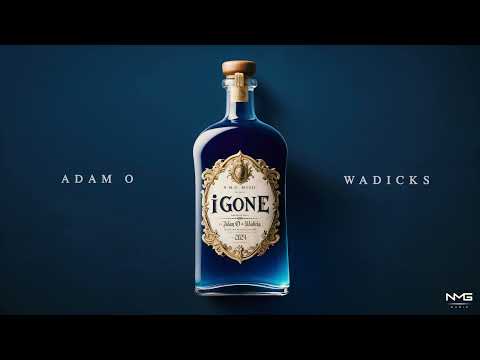 Adam O and Wadicks - iGone (Official Audio) | Soca 2025