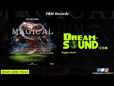 Magical Riddim 2008 {P&M Records}