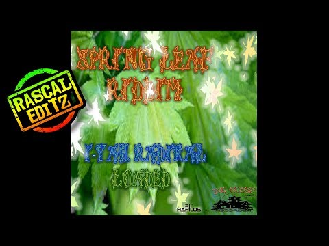 Spring Leaf Riddim (Big House Records | 2017 | Rascal Editz Mix)