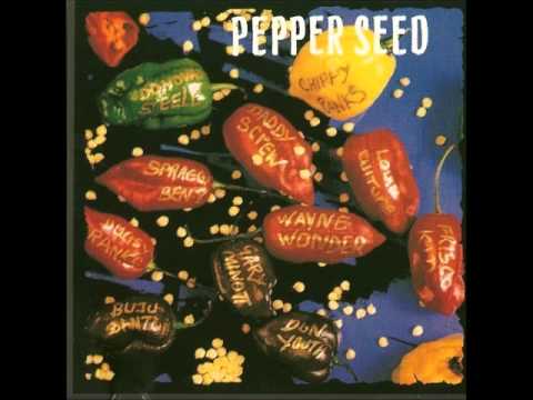 PepperSeed Riddim 1994 (Madhouse Music) Mix By Djeasy