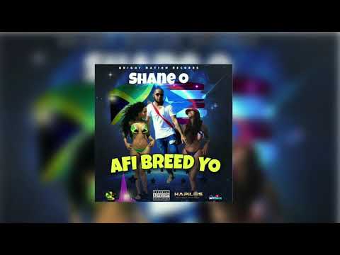 Shane O - Afi Breed Yo (Official Audio)