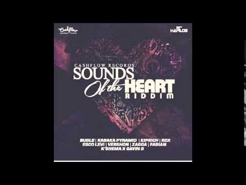 SOUNDS OF THE HEART RIDDIM PROMO MIX MIXED BY CASHFLOW RINSE PRODUCED BY CASHFLOW RECORDS
