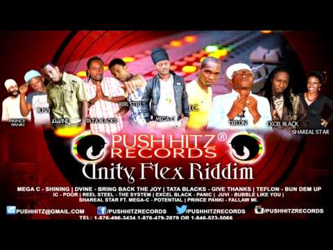 Unity Flex Riddim (Push Hitz Records) Ft. Teflon, Tata Blacks, Mega C &amp; More - June 2014