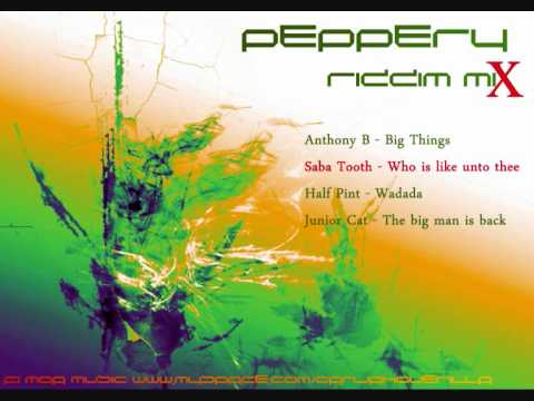 Peppery Riddim Mix [November 2010]