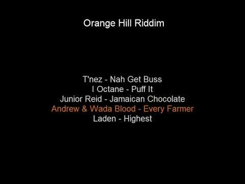 Orange Hill Riddim Mix 2010 [CASH FLOW PROD]
