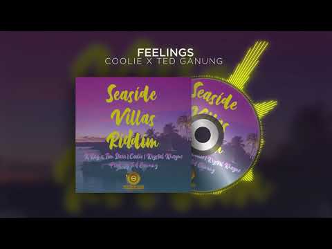 Coolie x Ted Ganung &#039;Feelings&#039; (Seaside Villas Riddim) | Official Audio