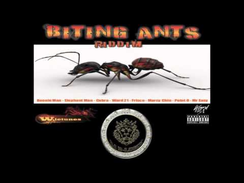 Biting Ants Riddim Mix