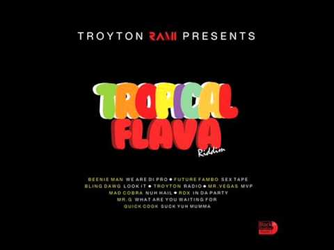 DJ HOTHEAD-TROPICAL FLAVA RIDDIM MIX [FULL PROMO] - TROYTON RAMI &amp; BLACK SHADOW MUSIC -2016 /767