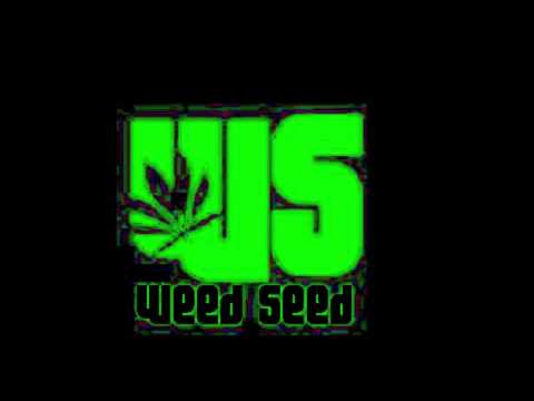 Anti Virus Instrumental (Weed Seed Production) Mar 2011