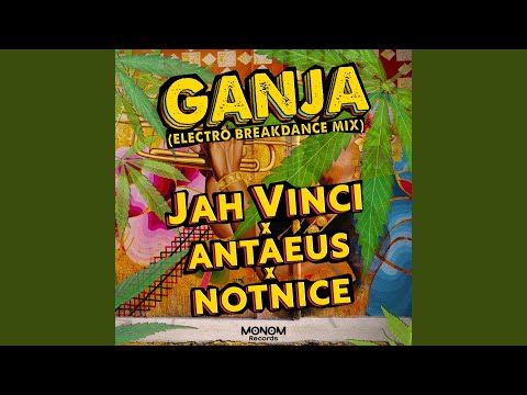 Ganja (Electro Breakdance Mix)
