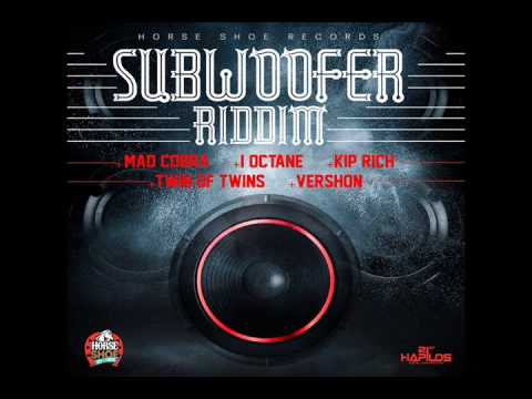 SubWoofer Riddim 2014 mix (Dj CashMoney) [DJ SMURF/HORSE SHOE RECORDS] {RAW}
