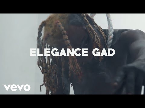 EleganceGad - Insanity (Official Music Video)