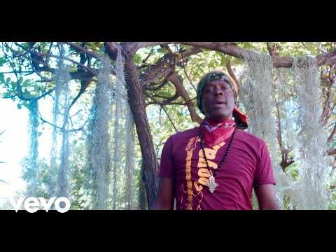 Richie Spice - Crazy World (Official Music Video)