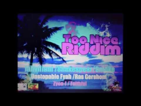 Too Nice Riddim Mix (Mar- 2014)