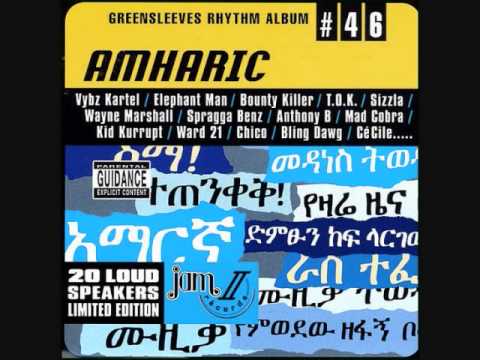 Amharic Riddim Mix (2003) By DJ.WOLFPAK