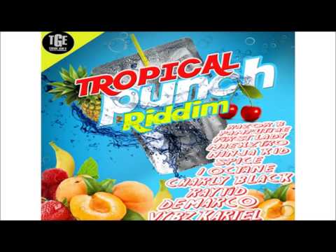 Tropical Punch Riddim mix JULY 2016 ● True Gift Entertainment● by Djeasy