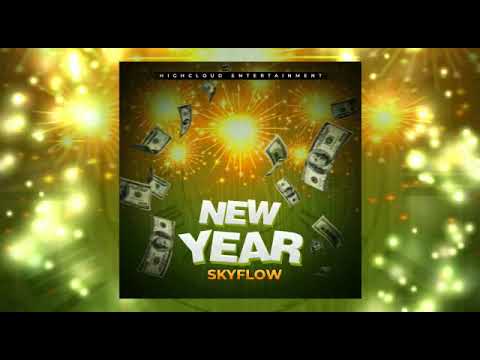 Skyflow - New Year [Audio Visualizer]