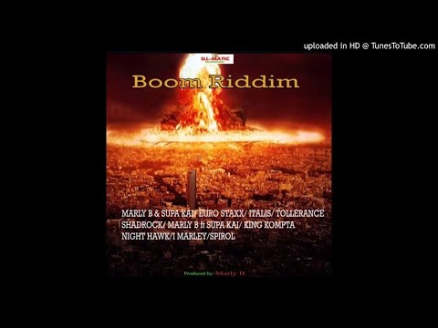 Boom Riddim Mix (Full, Aug 2019) Feat. Marly B, I Marley, Italis, Night Hawk, Supa Kai, Shadrock, Eu