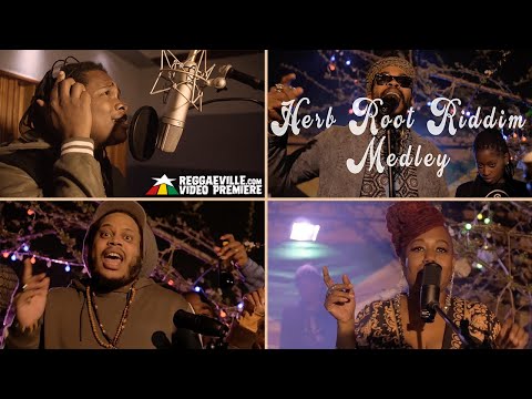 Ras Tavaris, Jah Kirk, Kumar &amp; Kitty Corbin - Herb Root Riddim Medley [Official Video 2020]