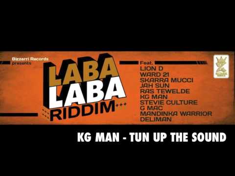 Reggae 2013 - Laba Laba Riddim (Bizzarri Records 2013)