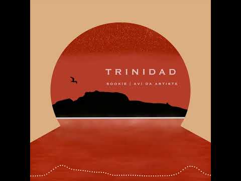 Sookie - Trinidad (ft. Avi Da Artiste) (Visualizer)