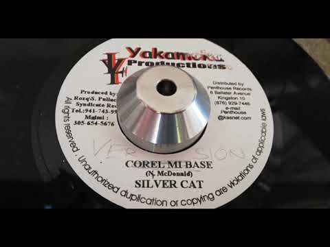 Silver Cat - Corel Mi Base