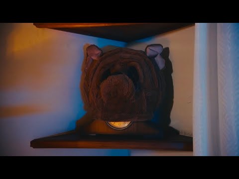 Kraff x Jiggy D - NARLY | Official Music Video (Muk Riddim)