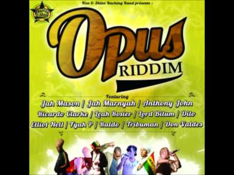 Opus Riddim - Eclectic Music