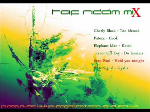 TGIF Riddim Mix [FULL] [November 2011] [Coppershot Productions]