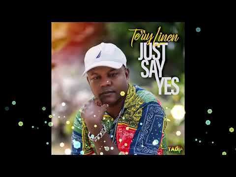 Terry Linen - Just Say Yes | Audio Visualizer